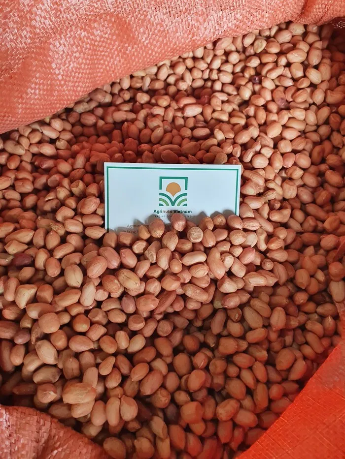 Peanut Grade Number 1 Size 6mm Product With Origin Vietnam Best Price For Sale High Quality From Manufacture Bryan 84 915600321