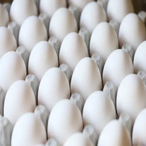 Белые и коричневые куриные яйца, страусиные яйца, индейки яйца оптом