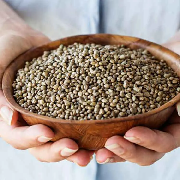 Top Quality Supplier Hemp Seeds For Sale In Cheap High Feminized Hemp Seeds Bulk Wholesale