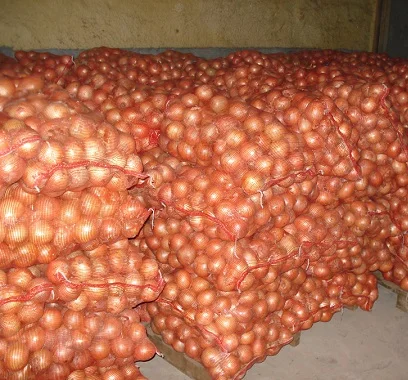 Fresh red onion for sale / premium quality red onion wholesale/low price onion for sale