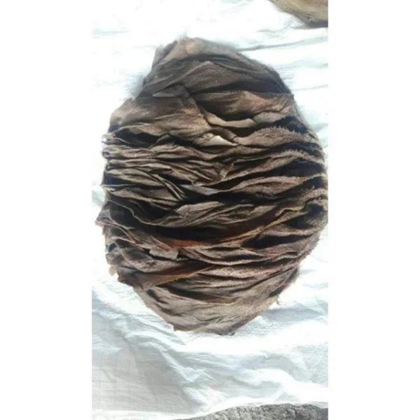 Dried salted Beef Omasum/ Cow Stomach/ Grade AA Halal From Greenlea  Premier Meats Pakistan