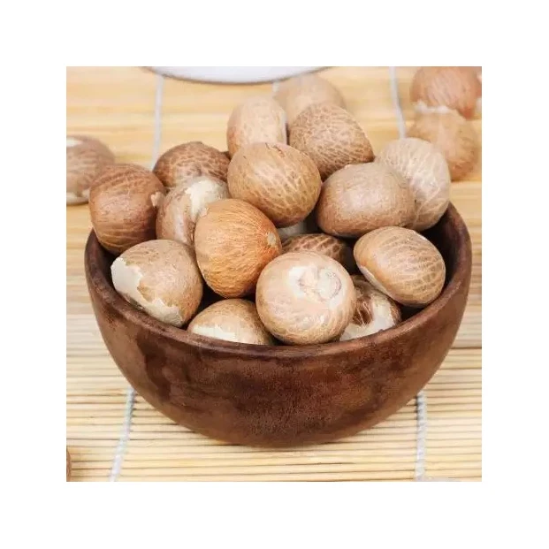 Premium Quality 1st Grade Fresh Style Raw Dried Betel Nuts for Food Use