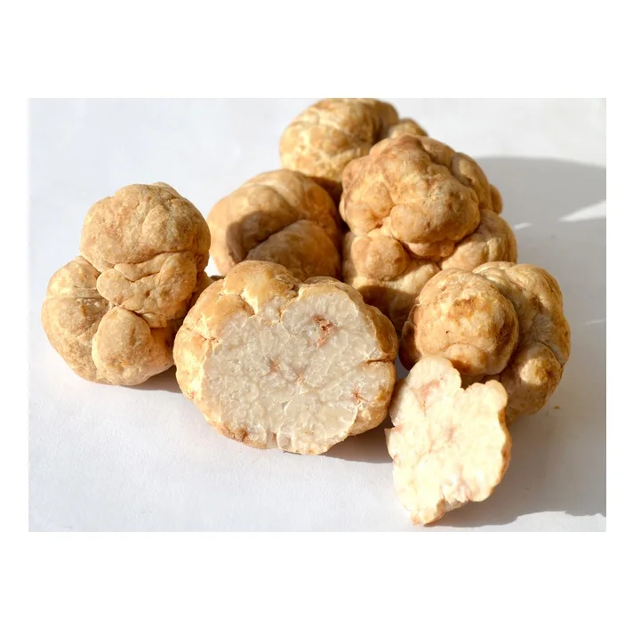 ORGANIC Color Shelf Mushroom Truffle Italy Wild Fresh Blackcarpaccio of Fine BLACK TRUFFLES