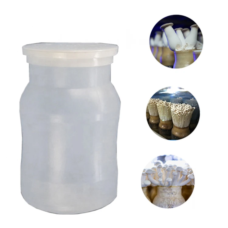 Mushroom Cultivation spawn plastic bottles