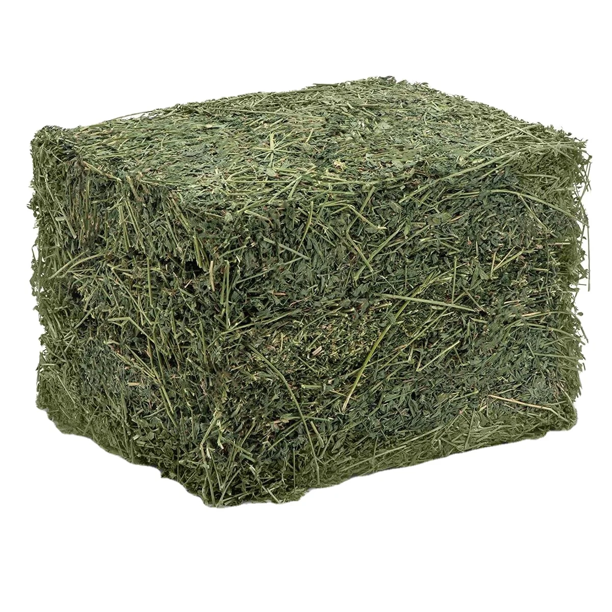 Super Top Quality Alfafa Hay for Animal Feeding Stuff Alfalfa / Timothy / Alfalfa Hay for Sale