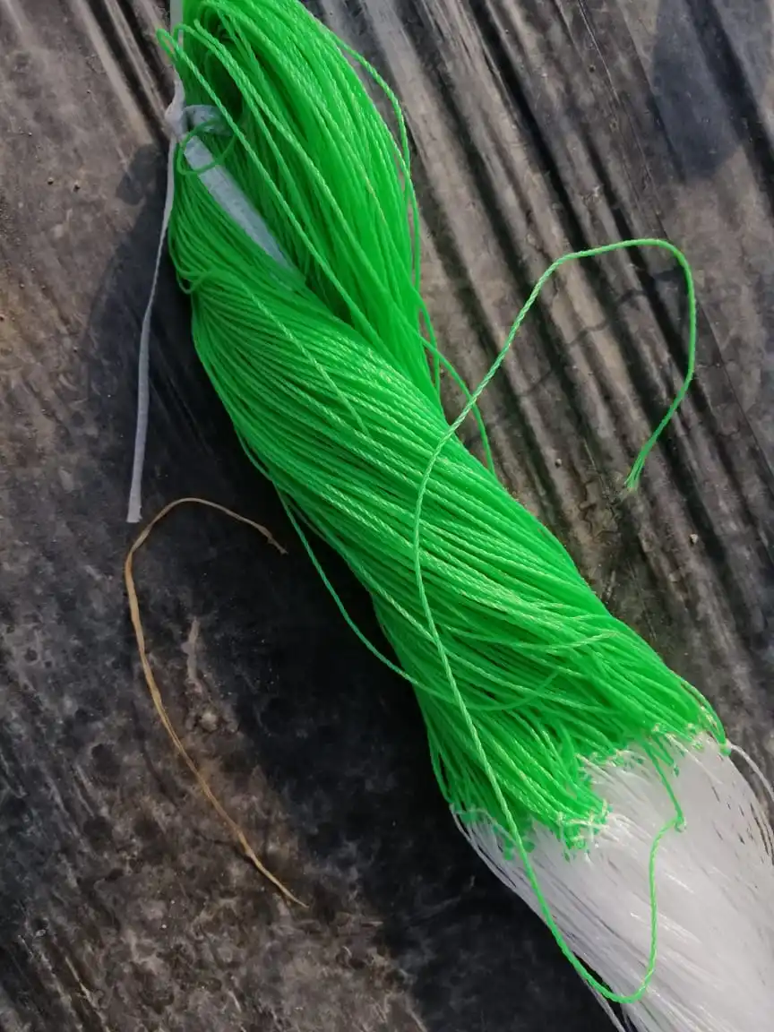 Supply white green agriculture HDPE Fishing Net trellis Climbing Netting HDPE Fishing Net
