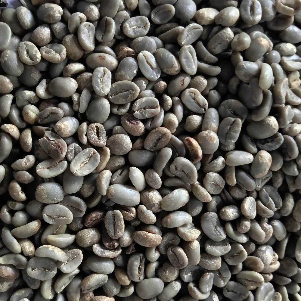 Premium Wine Aceh Gayo Arabica Coffee Beans Coffee With A Taste Of Wine Specialty Coffee Beans From Sumatra