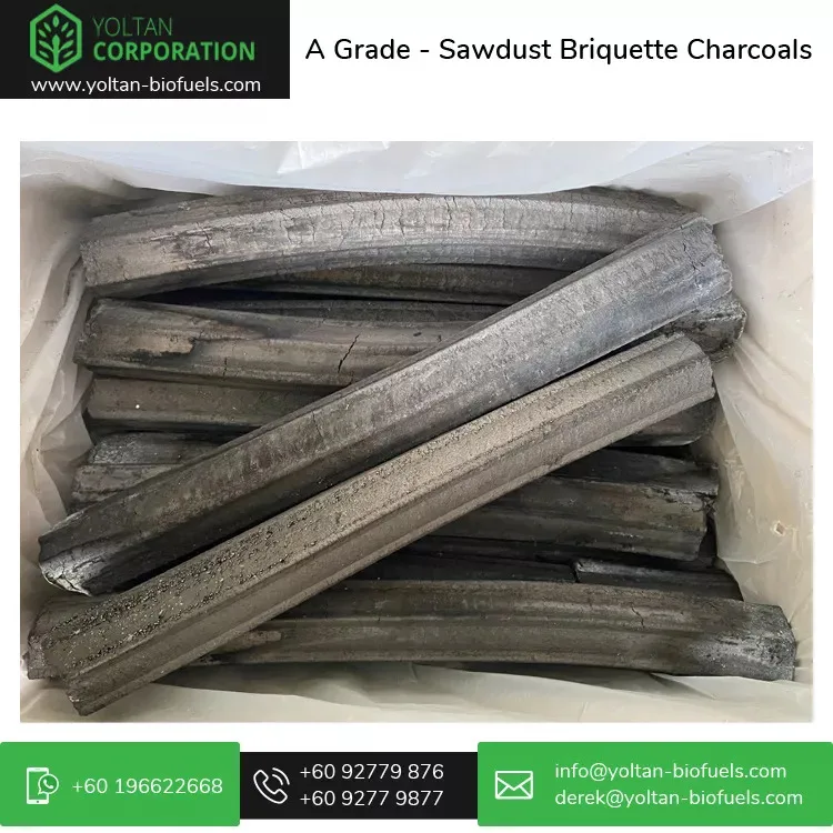 Professional Malaysian Exporter of Sparkless and High Heat 100% Sawdust Briquette Charcoal for Barbecue / BBQ