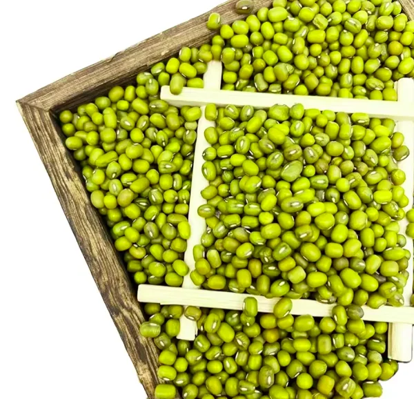 OEM ODM Mung Beans Custom Small To Medium Round green mung beans 2024 Wholesale peeled mung bean