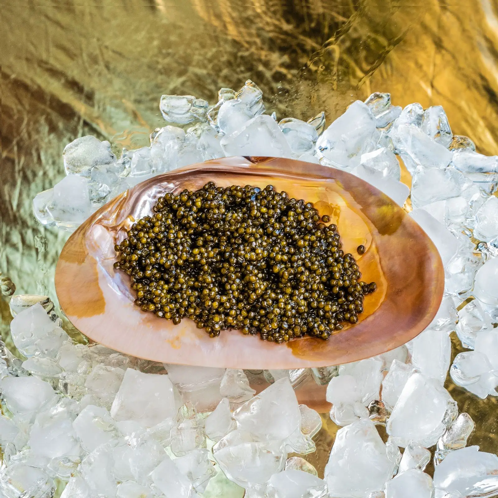 Luxurious caviar serving dish and spoon set wholesale factory price polished natural mother of pearl flatware