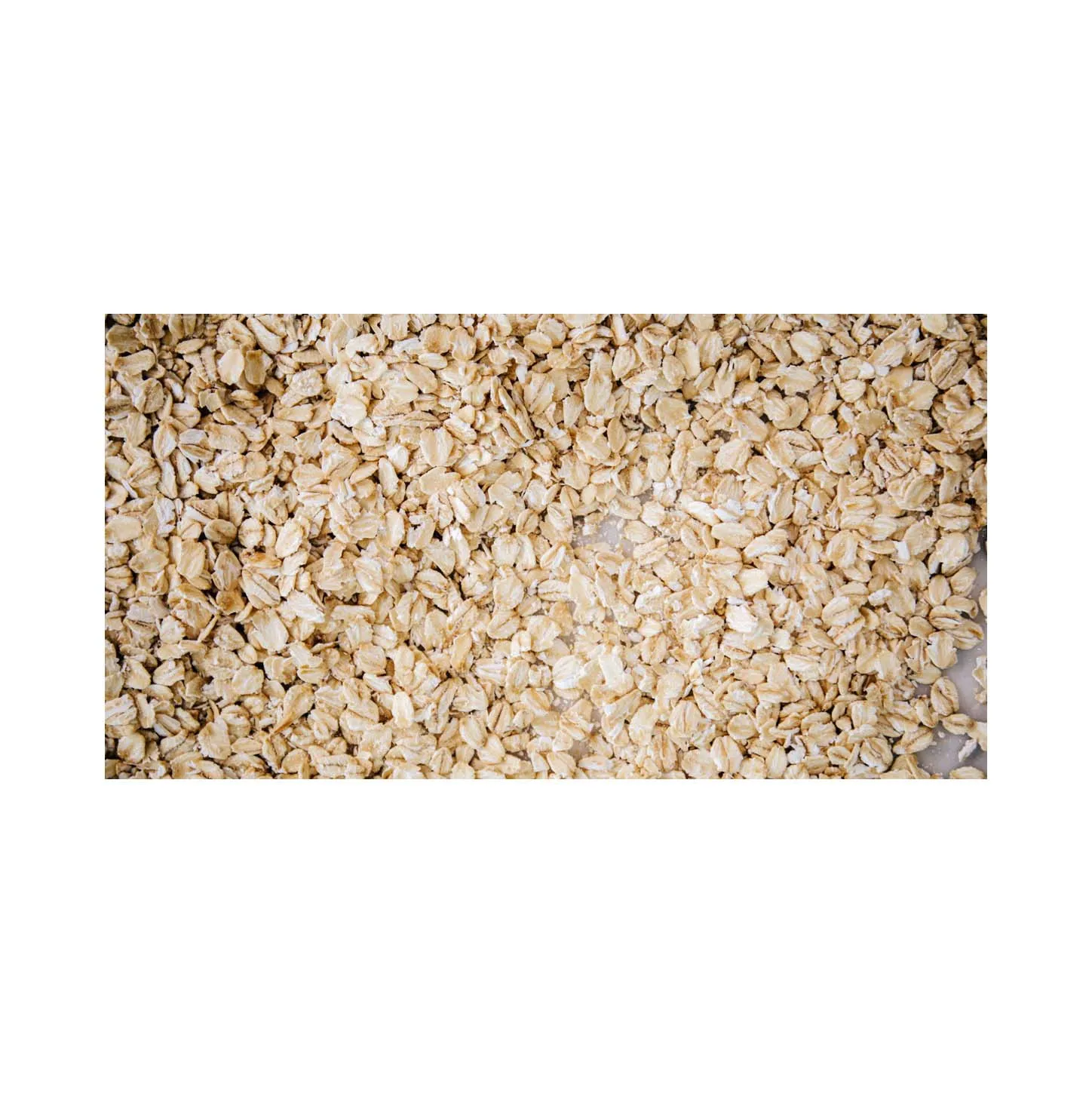 Top Quality Hulled Oats/ Oats Grains oat groats