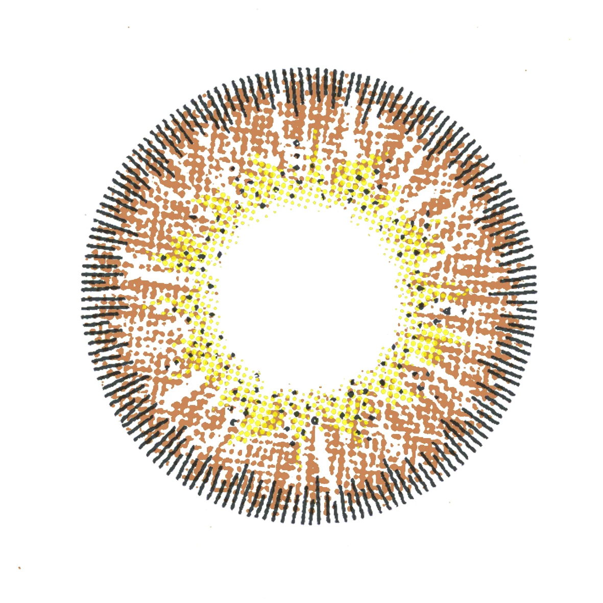 [UNISON] Lens Brand UNISON Beautiful Colored Contact Lens Soft Hazel Color Contact Lens For Daily Use for Men & Women