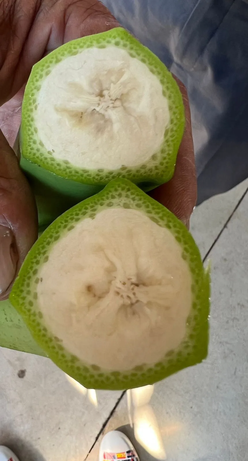 Organic Fresh Green Cavendish Banana From Vietnam Best Price Export Supplier - Caryln 0084935825297