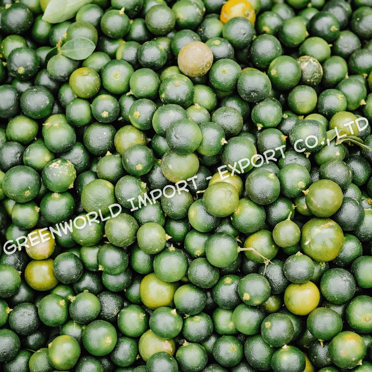 HIGH QUALITY VIETNAMESE CALAMANSI PUREE -  100% FRESH CALAMANSI - LOWEST PRICE IN THE MARKET - BEST SELLER IN THIS HOT SUMMER
