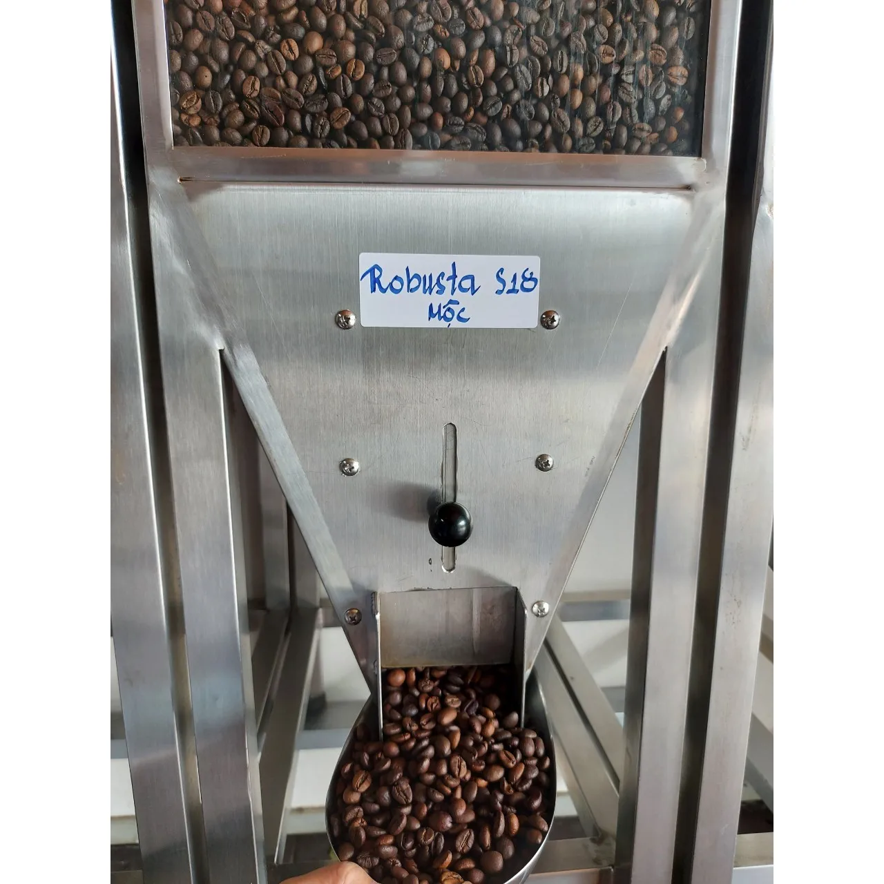 High Quality Robusta S18 Roasted Carpentry Coffee Beans Medium Roasted Robusta  Medium Roasted