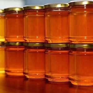 Hot Selling Discounts Price Natural Raw  Royal Honey  Wholesale price