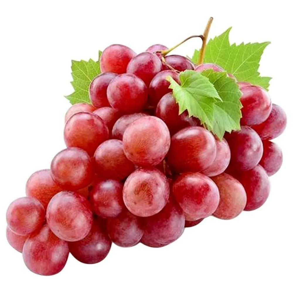 Fresh Top Quality seedless grape in cartoon and plastic wholesale best price healthy fruit sweet juicy