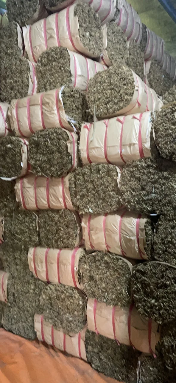 Wholesale Dried Zongzi Leaf Bamboo Leaf Bamboo Eco-friendly Material Big Size with Competitive Price in Vietnam