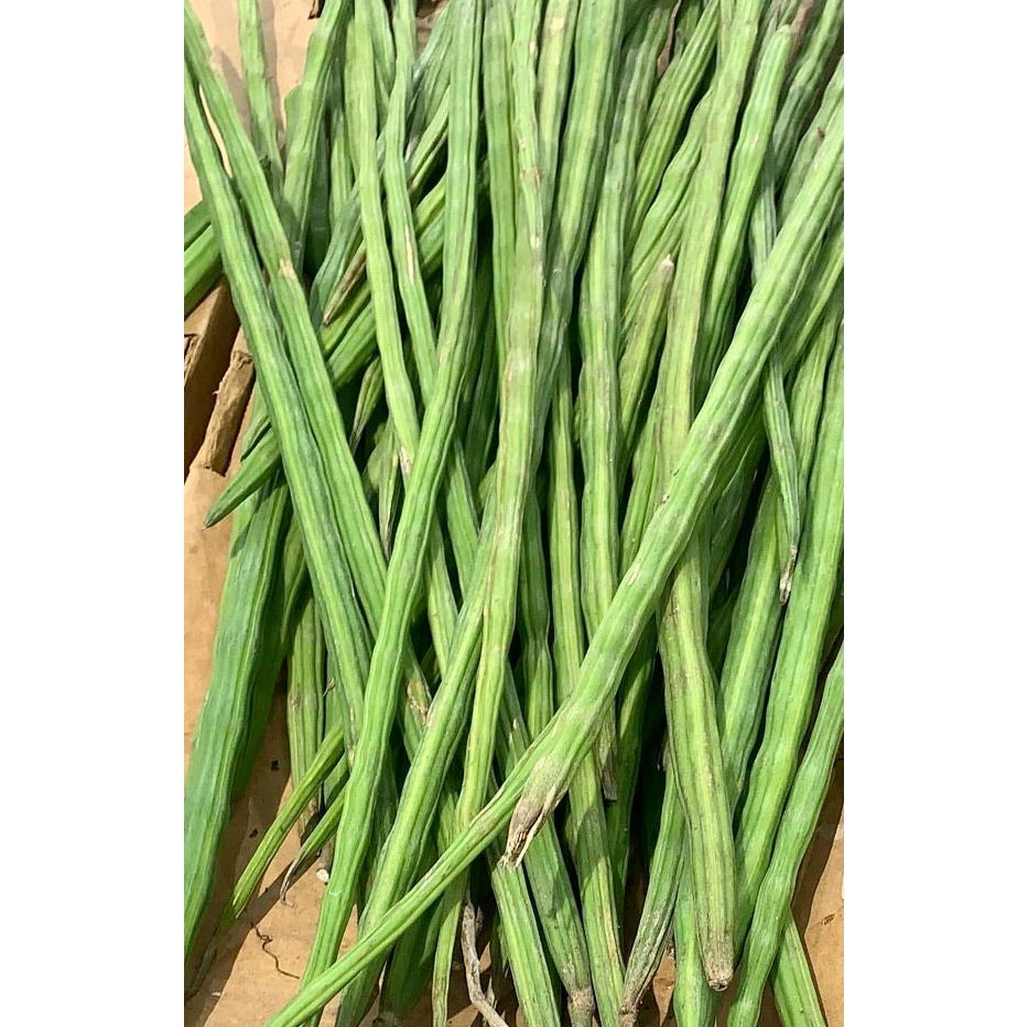 Okra Fresh Lady Finger Gumbo Okra Whole Okra Vegetable Cut in Frozen Vegetables with Good Price High Quality Fresh Drumstick