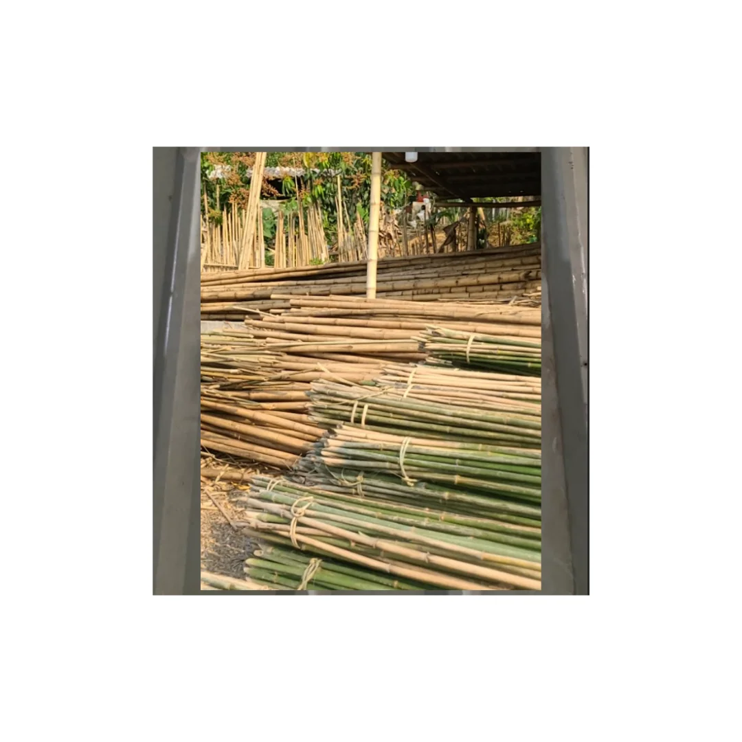 Bamboo Poles 100% Natural Customize Length and Diameter Sale With Factory Direct Price Best Use for Garden Farming Purpose