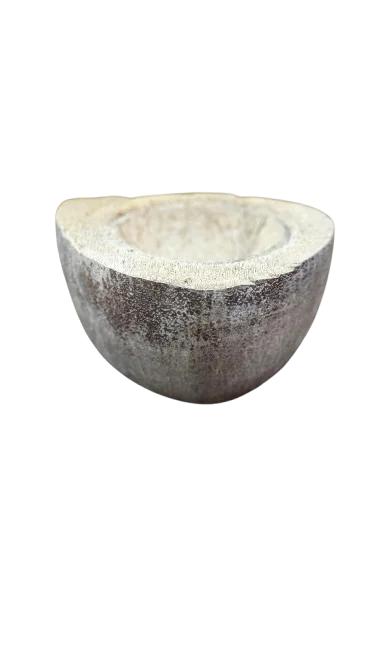 Coconut water container sustainable and eco-friendly useful for birds and pets serves as a water bowl