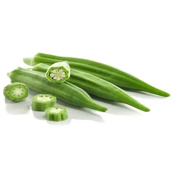 Quality Natural Fresh Okra/ Fresh Vegetable For Sale/hot selling Fresh Vegetables Okra