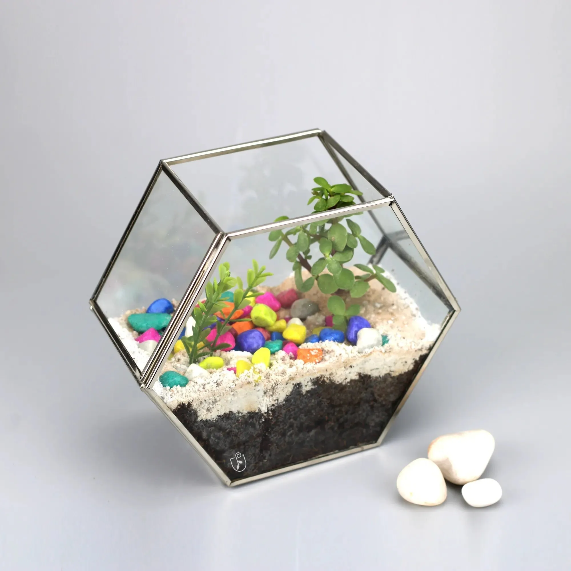 Brass Glass Pentagon Regular Geometric Terrarium Container Miniature Outdoor Fairy Garden Gift Customized Size & style