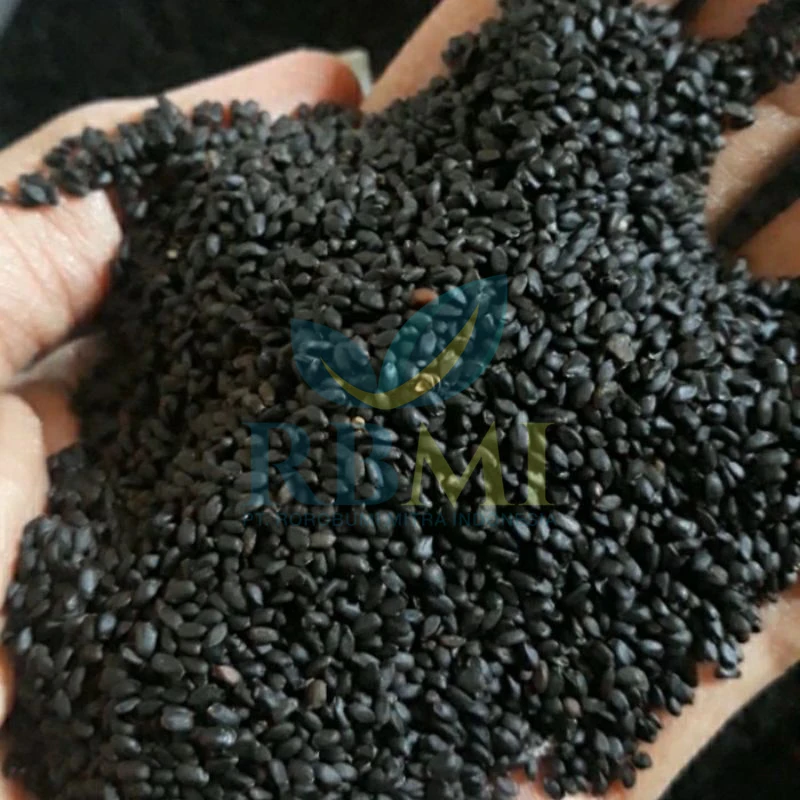 Basil Seeds Selasih seeds Ocimum basilicum seed factory supplier price health small raw basil With COMPETITIVE PRICE