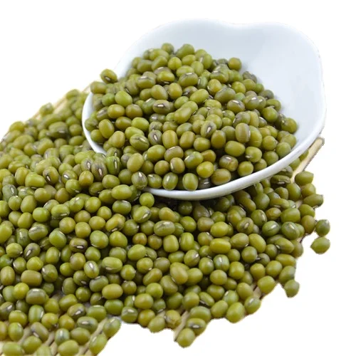 Высококачественные бобы для пищевых продуктов moong dal 25 или 50 кг натуральный продукт Узбекистана зеленые