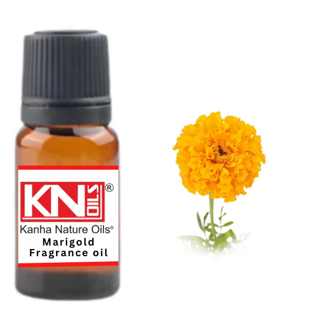Buy Marigold Fragrance oil at  Wholesale price  from india largest manufacture kanha nature oils