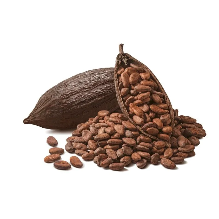 Bake Material Natural Wholesale Price Dried Raw Cocoa Beans Coco Bean for Sale