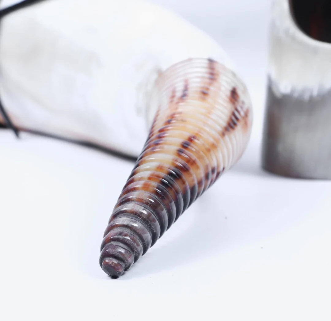 Engraved drinking horn Best Quality Indian Buffalo Drinking Horns With Leather Holder