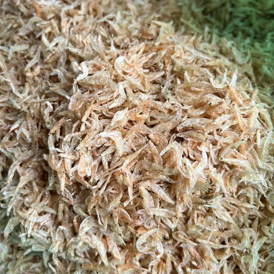 Оптовая продажа низкая цена сушеные Детские креветки из Вьетнама-Сухие // Сухие от солнца