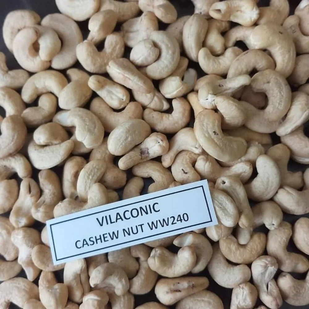 ALL TYPE SP LP WW180 WW240 WW320 VIETNAM CASHEW NUTS & KERNEL SPECIALTY, DRY VERY CHEAP, HIGH QUALITY WHOLESALE EXPORT in BULK