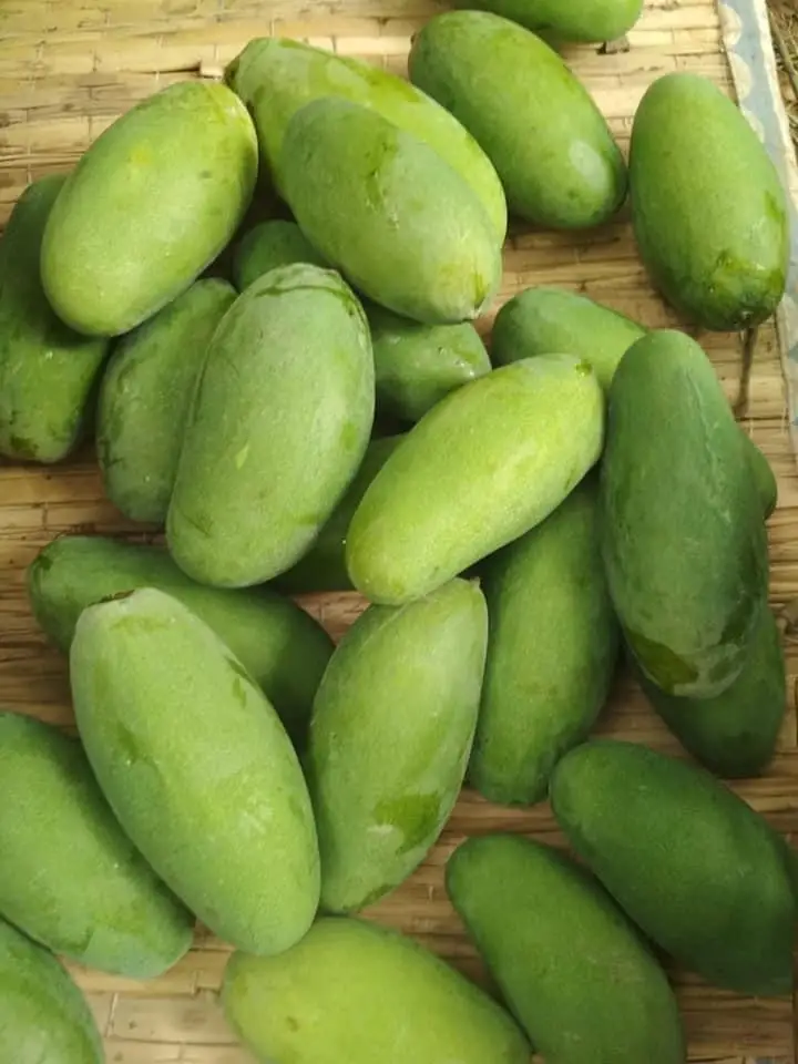 Pakistani Mango Fresh Premium Quality Available all Kind of Mango from Pakistan at wholesale Price with Customized logo