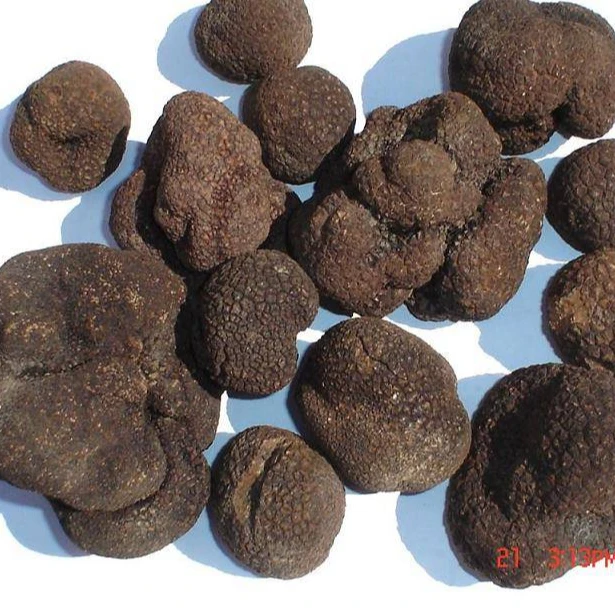 Discount Fresh black truffle hooked black truffle mushrooms