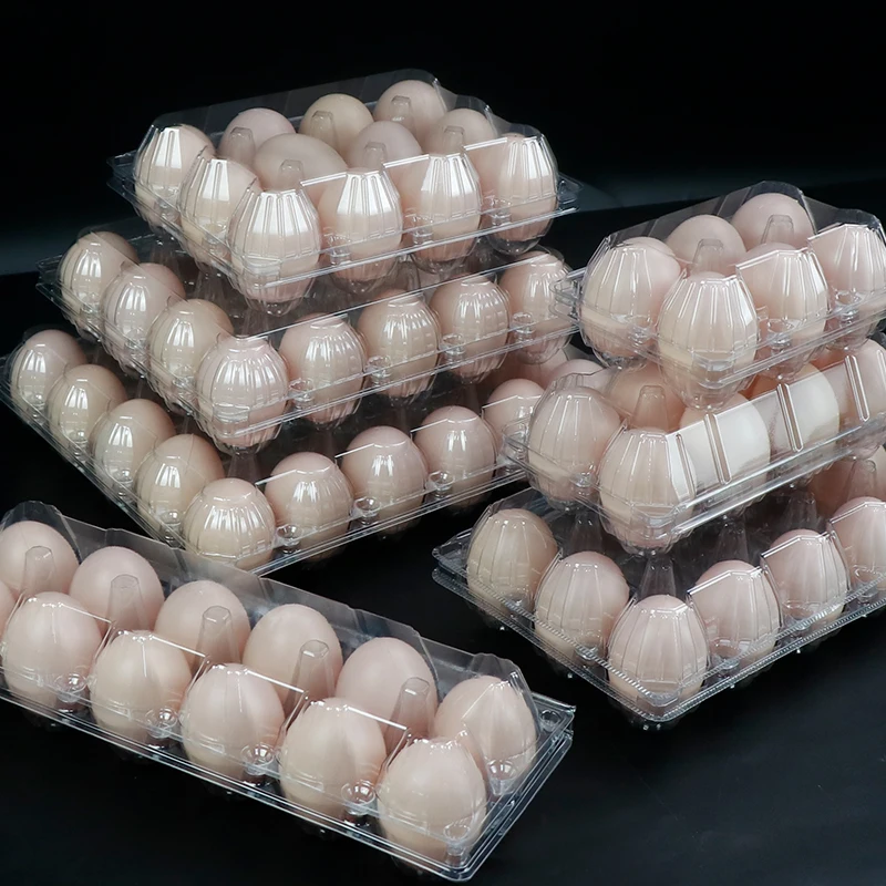 Plastic Egg Package Tray Egg Tray Supplier Plastic Egg Tray 10