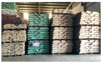 Arabica Coffee Beans Size 16,18