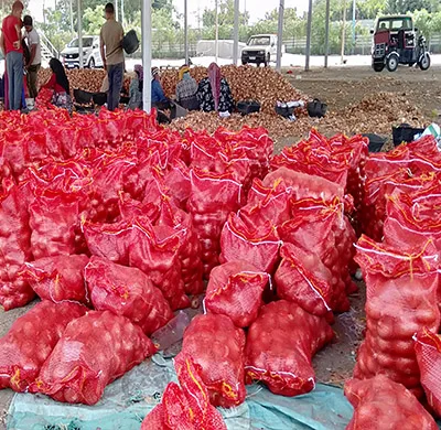 Premium Quality Red Onion New Crop Egypt Fresh Red Onions Good Price Natural Healthy Red onions Wholesale