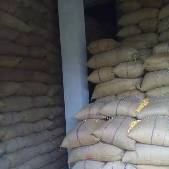 Top Quality Export GMO Yellow Corn White Corn Air Dried Agriculture Kernel Corn Moisture Organic Exporter Agrilculture