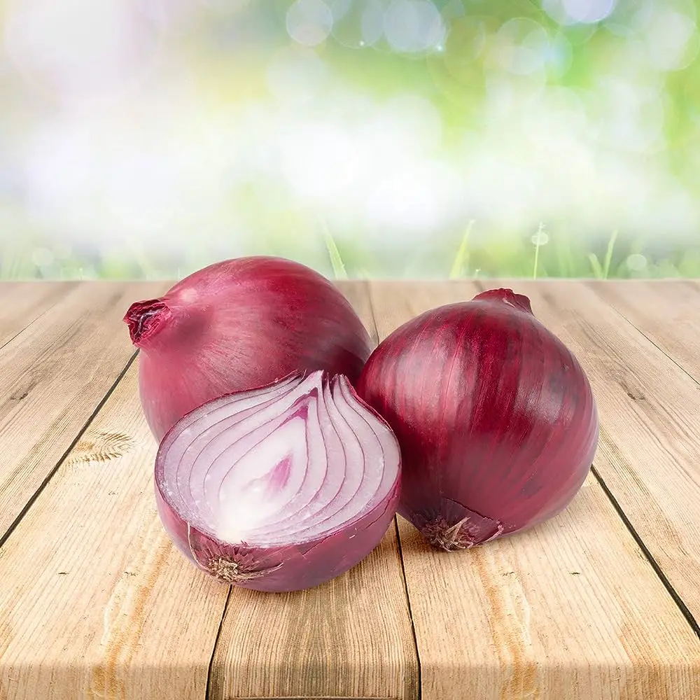 Fresh Red Onion Organic Nutritional and Natural Fresh Onion Prices