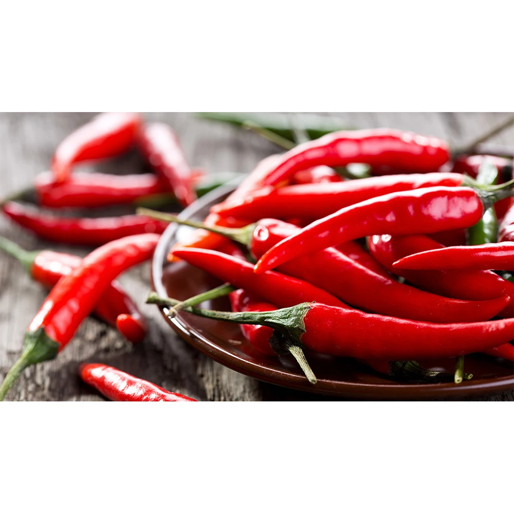 Fresh Chilli Agricultural Products Organic Products Chili Manufacturer Using For Food Daily Made In Vietnam