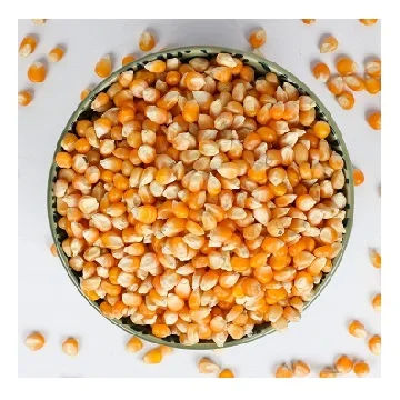 High Quality Bulk Dried Corn Sweet Corn Sweet Wholesale Price Dried Yellow Corn For Sale