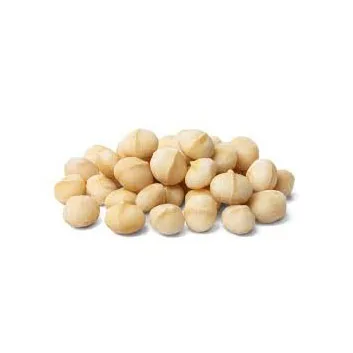 Supervior Quality Macadamia Nuts With Shell Raw Organic Bulk Nuts Macadamia Nuts Wholesales From Viet Nam