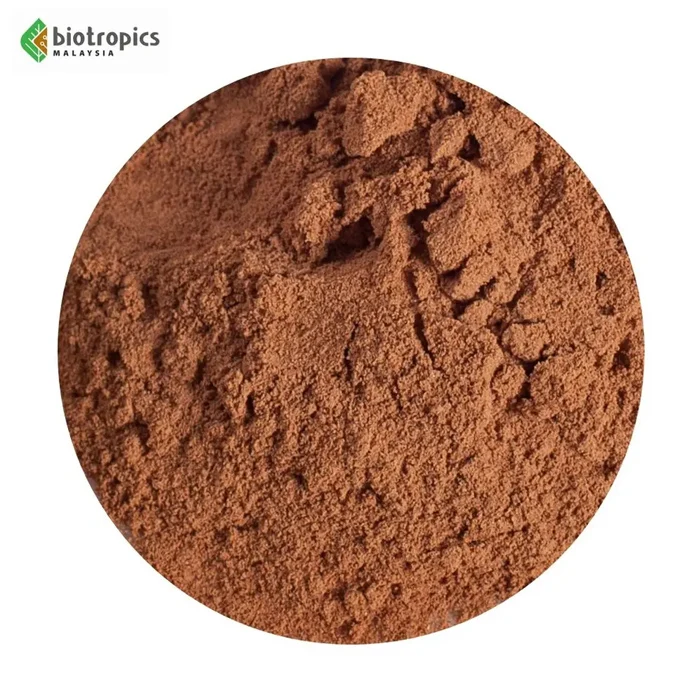 Food Grade Water Pepper Leaf Extract Kesum Ingredients Powder Culinary Use Herbal Extract or Supplement