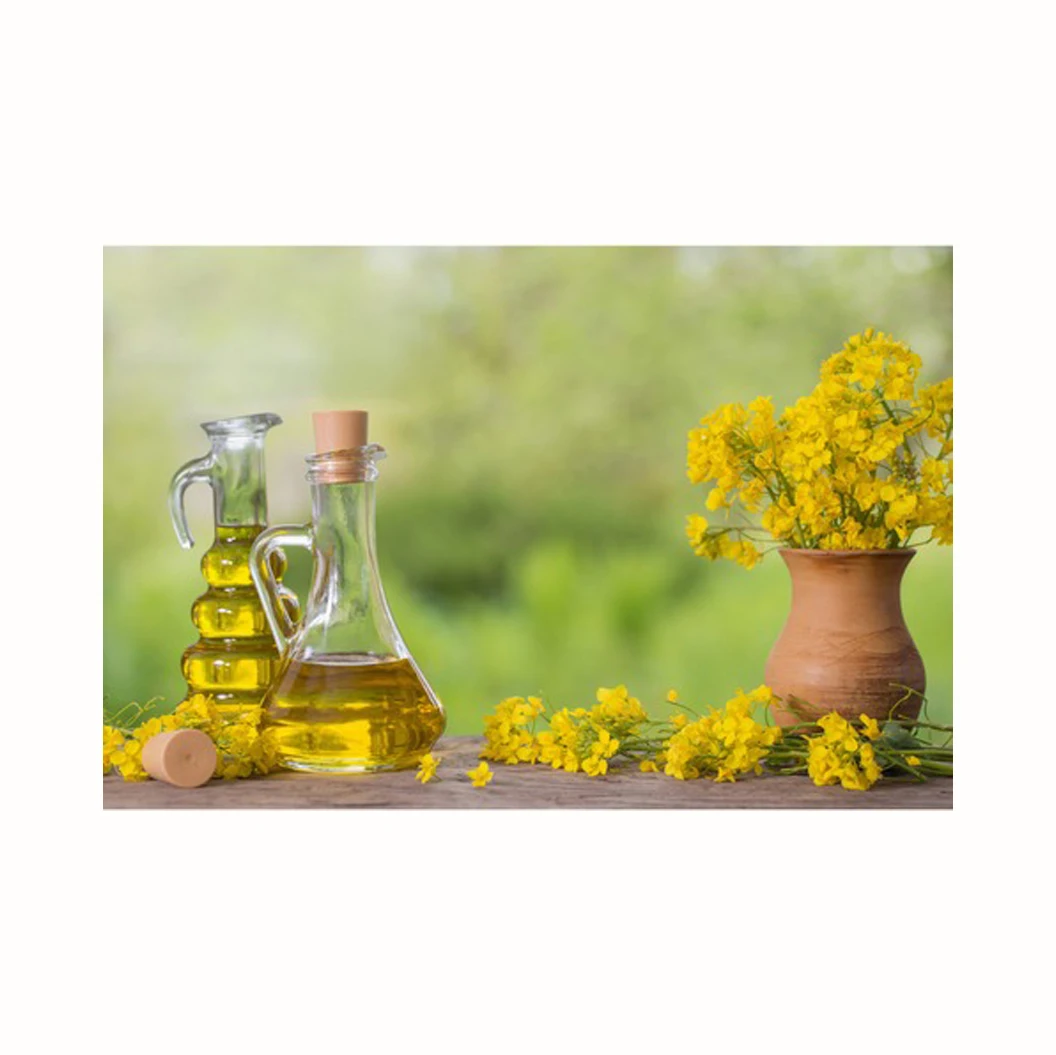 Certified Organic Rapeseed Oil For Sale