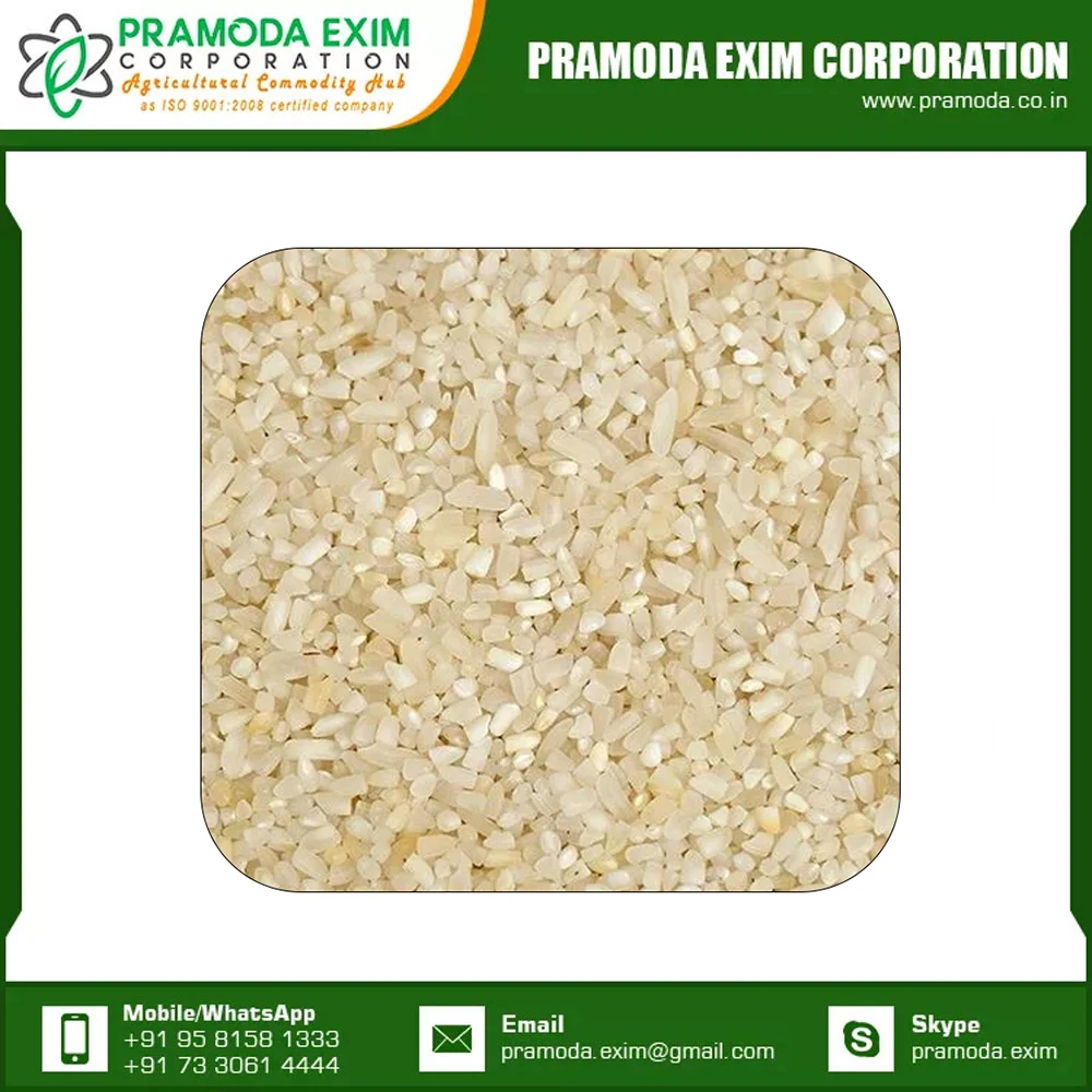 Best Quality Indian Broken Rice From India