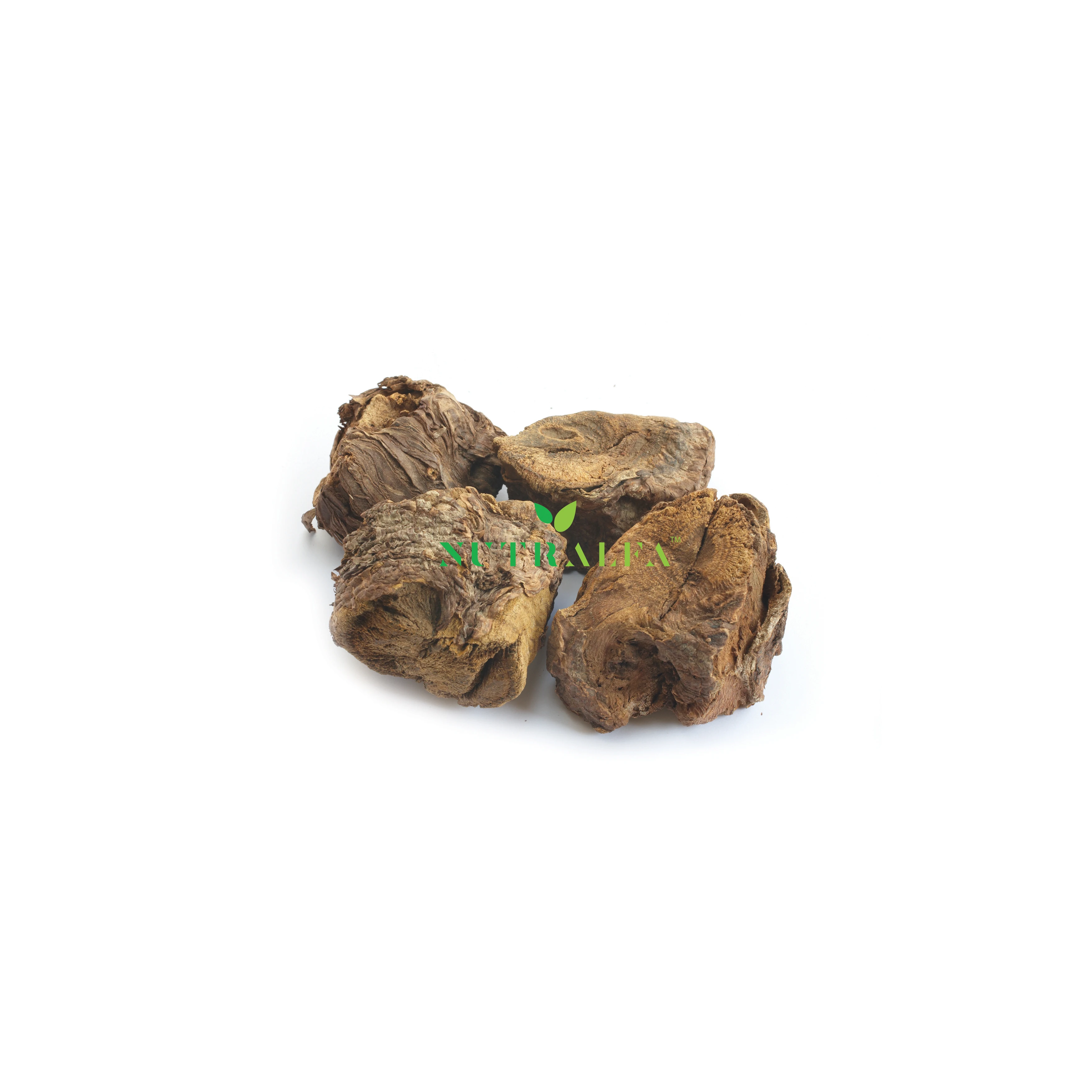 Wholesale Rhubarb Roots Pure Botanical Herb for Health & Wellness