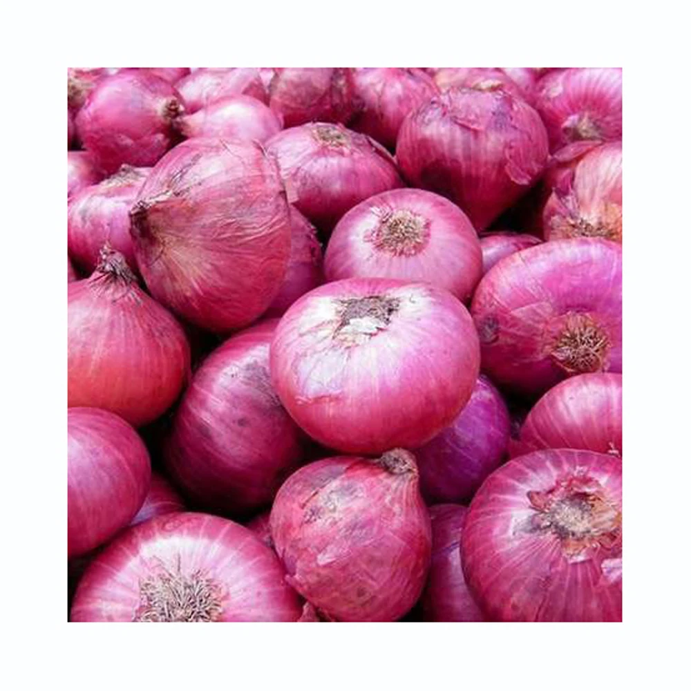 RED ONION YELLOW ONION Austria ONION FRESH VEGETABLE