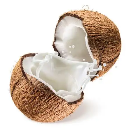 Vietnam semi husk dried coconut/ Mature Coconut Nut/Fully husk Coconut cheap price - Ms Kathy